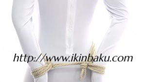 Burlington Bowline - 直线-缠师-绳缚研习社