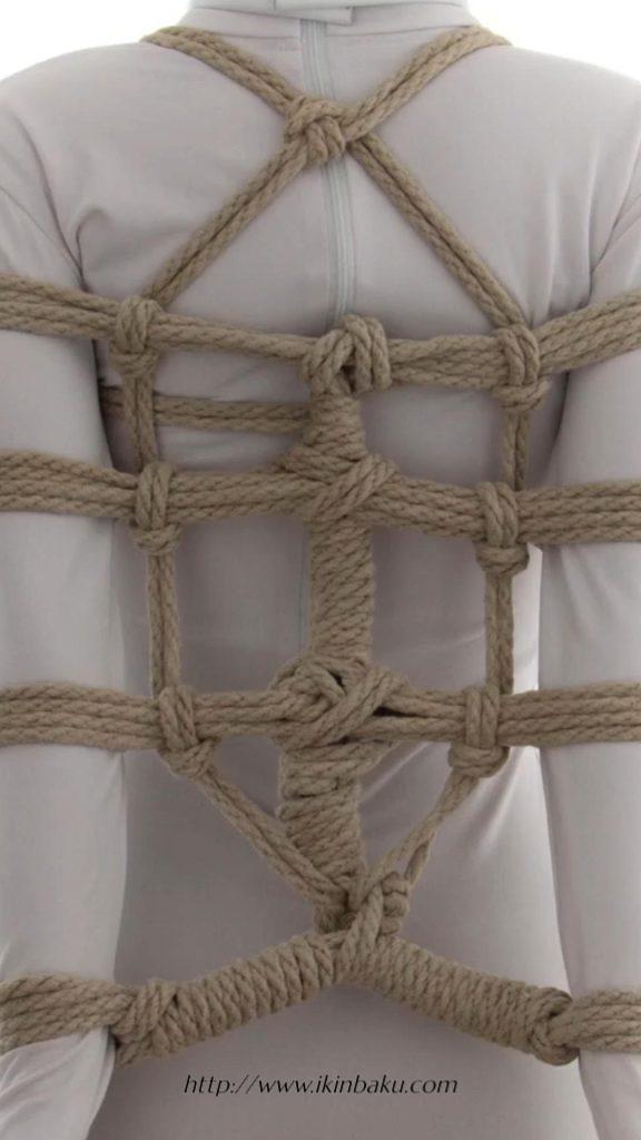 Armbinder - 袖子-缠师-绳缚研习社