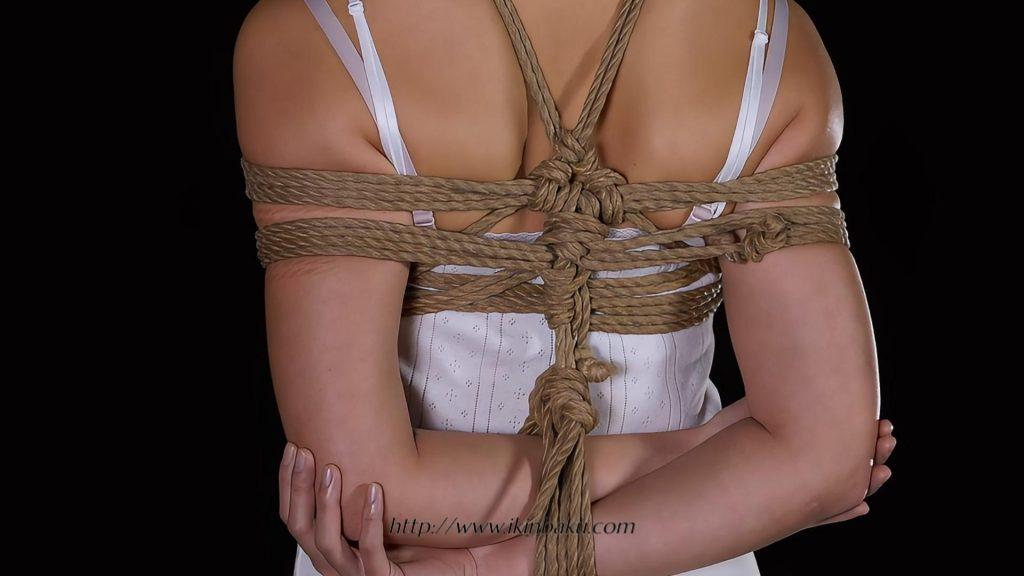 Kinoko 更新版 TK3绳缚 | 课程-缠师-绳缚研习社