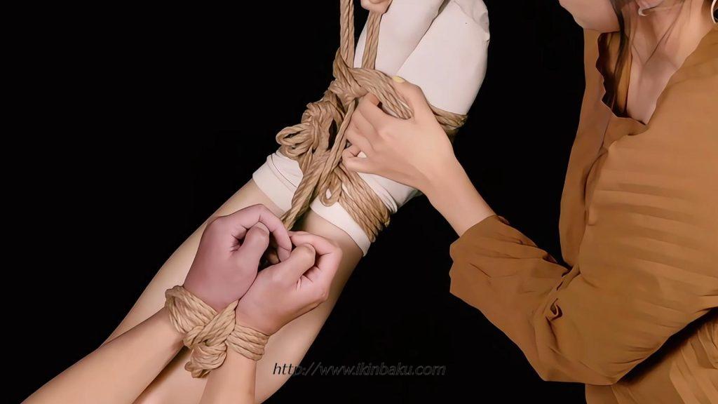 野兽束缚 - 部分悬挂-缠师-绳缚研习社