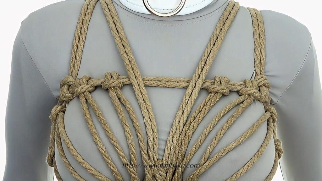 文胸-缠师-绳缚研习社