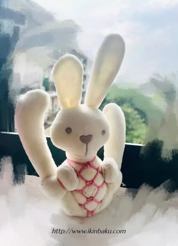 绳缚科普 | 新手捆绑指南送给你-缠师-绳缚研习社