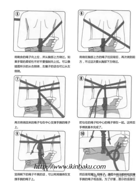 图片[2]-捆绑新手图解 | 后手缚图解步骤-缠师-绳缚研习社