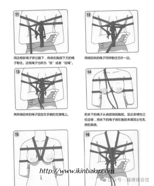 图片[3]-捆绑新手图解 | 后手缚图解步骤-缠师-绳缚研习社
