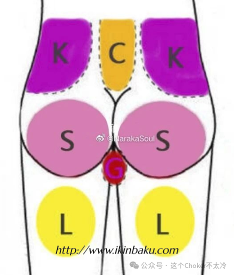 Spank最全教程 | 从新手到高手的进阶指南-缠师-绳缚研习社